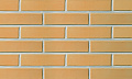 Кирпич LODE Dzintra полнотелый темно-желтый гладкий 250*120*65